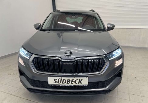 Skoda Karoq, 2023 2