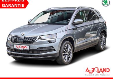 Skoda Karoq, 2019
