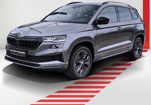 Skoda Karoq, 2024