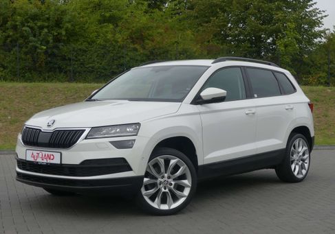 Skoda Karoq, 2020