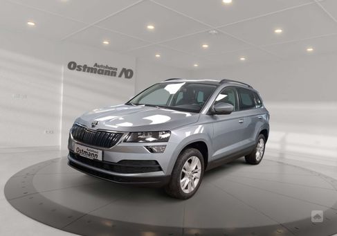 Skoda Karoq, 2020