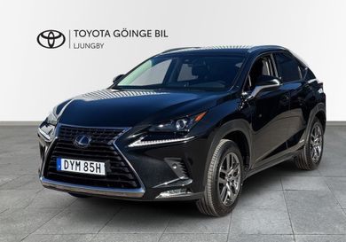 Lexus NX, 2019