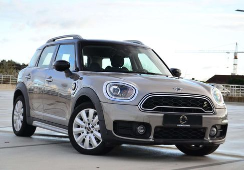 MINI, 2019