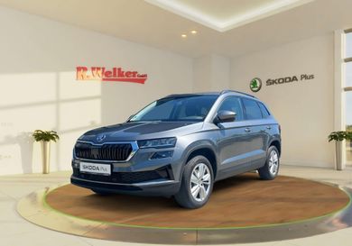 Skoda Karoq, 2024