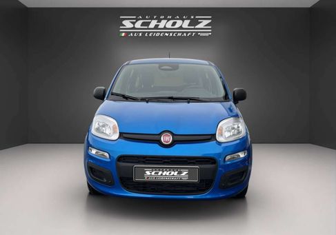 Fiat, 2025