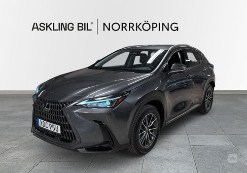 Lexus NX, 2024