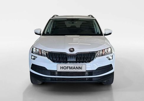 Skoda Karoq, 2019