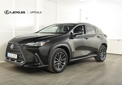 Lexus NX, 2023