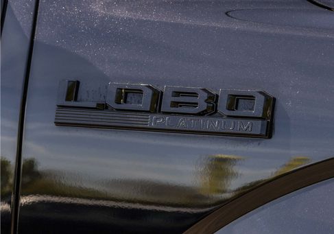 Ford F 150, 2021