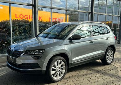 Skoda Karoq, 2020