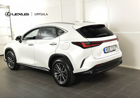 Lexus NX, 2024