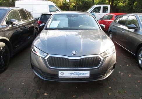 Skoda Octavia, 2023 2