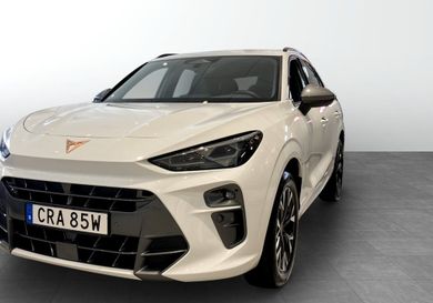 Cupra, 2025