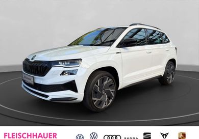 Skoda Karoq, 2023