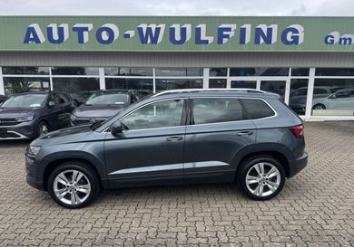 Skoda Karoq, 2019