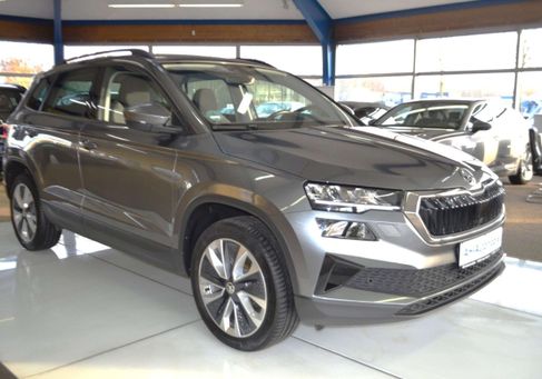 Skoda Karoq, 2023 2