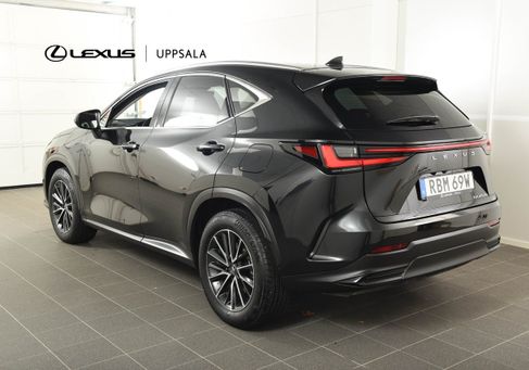 Lexus NX, 2024 2
