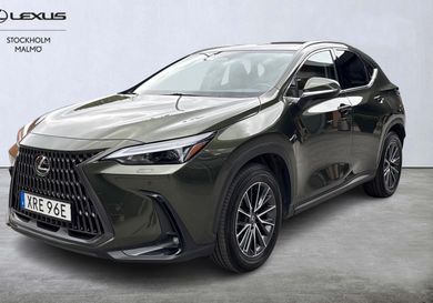 Lexus NX, 2024