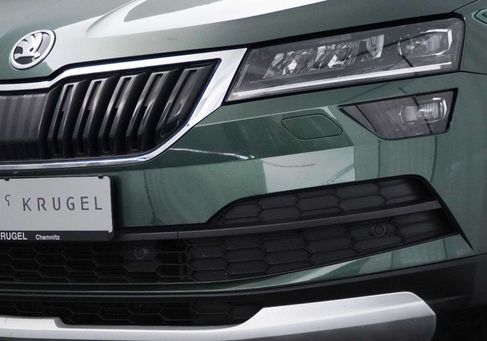 Skoda Karoq, 2019