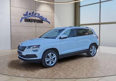 Skoda Karoq, 2020