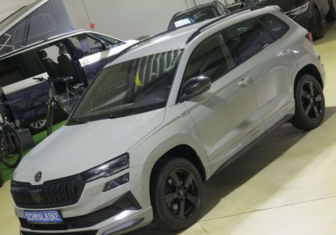 Skoda Karoq, 2024 2
