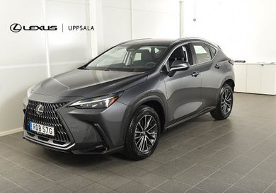Lexus NX, 2025