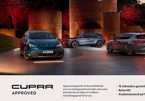 Cupra Leon, 2025
