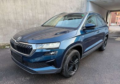 Skoda Karoq, 2022