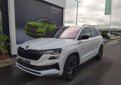 Skoda Karoq, 2022