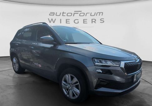 Skoda Karoq, 2024