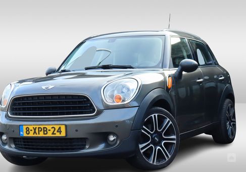 MINI, 2010