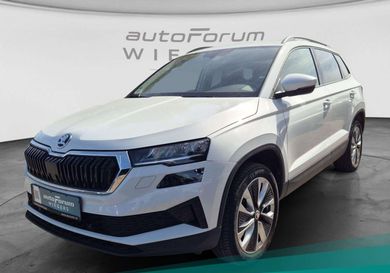 Skoda Karoq, 2022