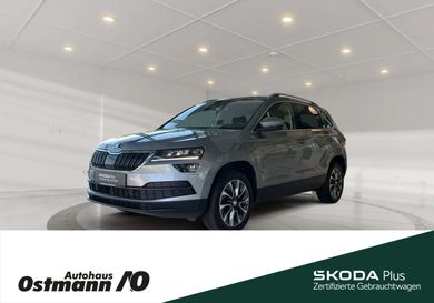 Skoda Karoq, 2020