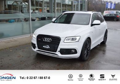 Audi SQ5, 2017