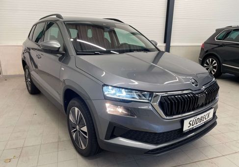 Skoda Karoq, 2023 3