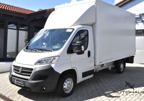 Fiat Ducato, 2019