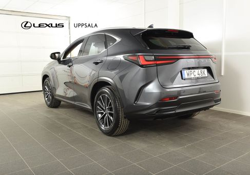 Lexus NX, 2025
