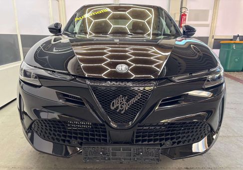 Alfa Romeo Junior, 2026 2