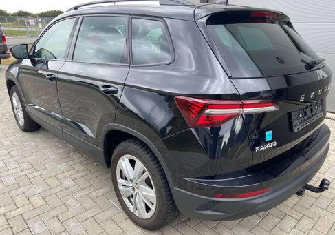 Skoda Karoq, 2024