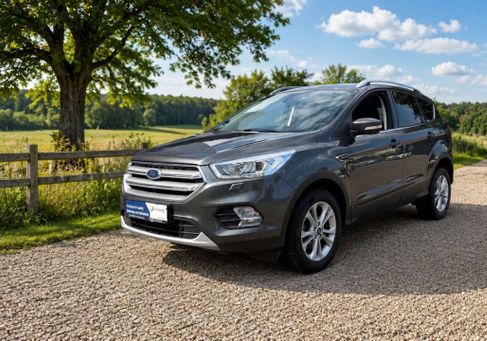 Ford Kuga, 2019