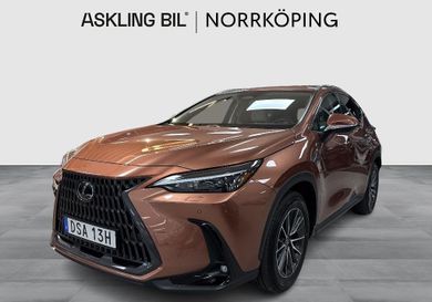 Lexus NX, 2025