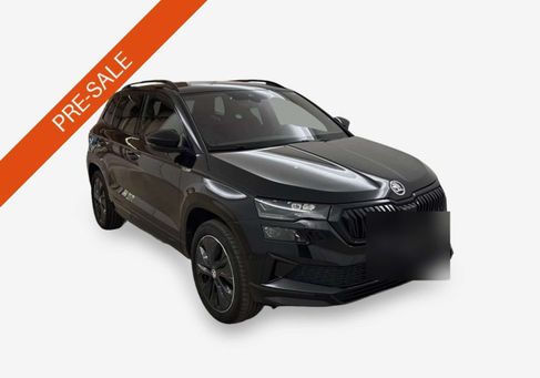 Skoda Karoq, 2024 2