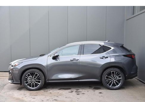 Lexus NX, 2024