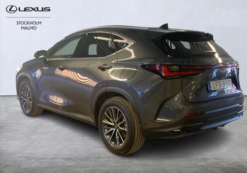 Lexus NX, 2025