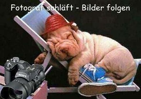 Volkswagen Arteon, 2022