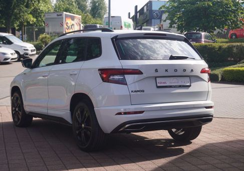 Skoda Karoq, 2020