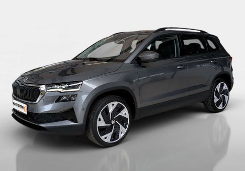 Skoda Karoq, 2022