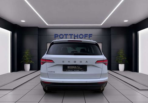 Skoda Karoq, 2024