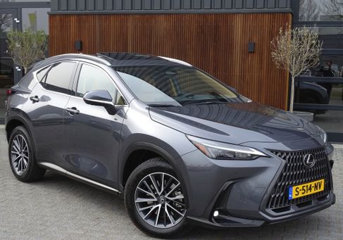 Lexus NX 450, 2023