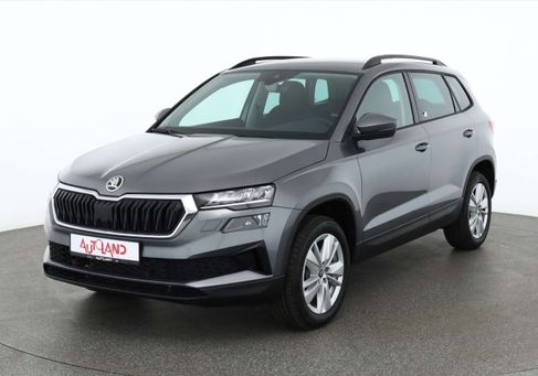 Skoda Karoq, 2024